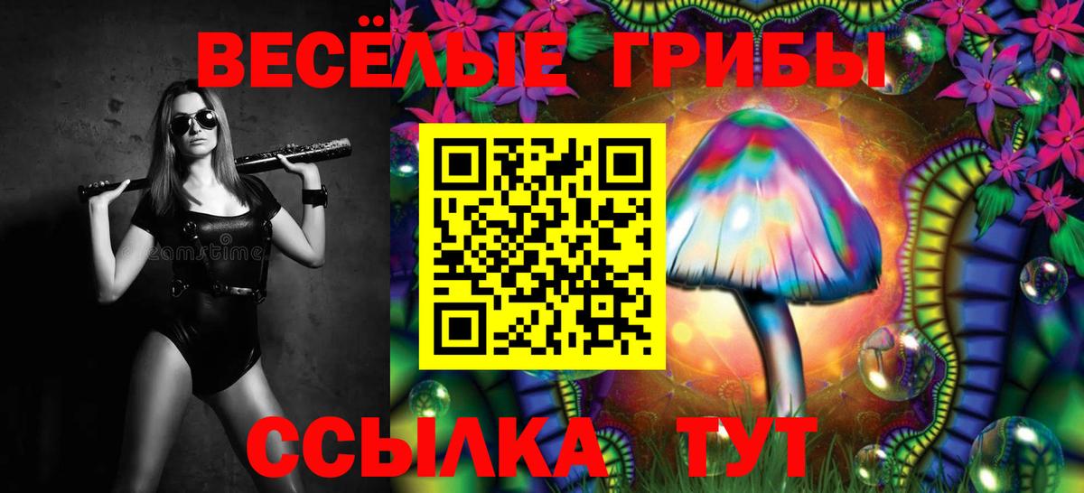 Псилоцибиновые грибы мицелий Грязи