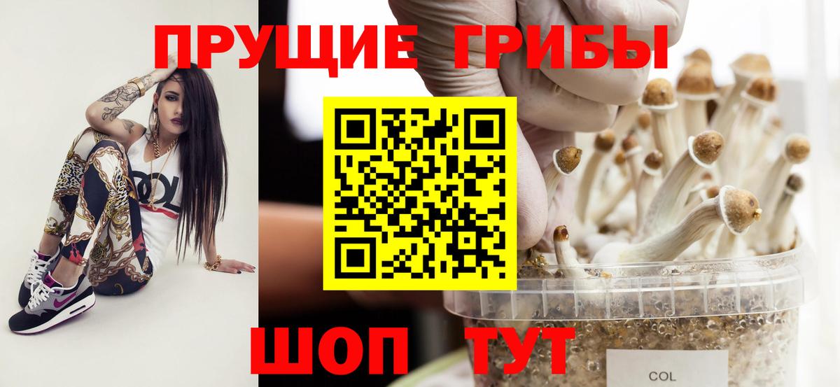 где найти наркотики  Галлюциногенные грибы Magic Shrooms  Вход с VPN  Грязи 